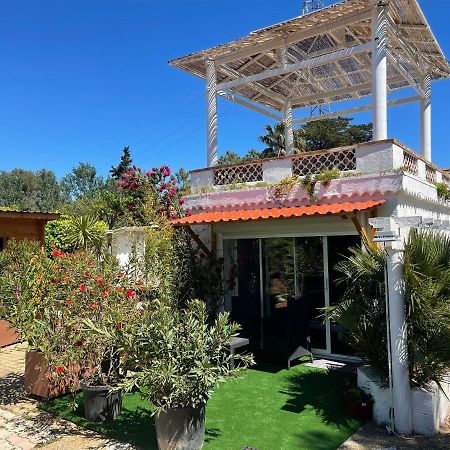 Studio Belle Vue, Jacuzzi, Piscine, Terrasse Avec Vue, Climatise Appartement Marseillan  Buitenkant foto