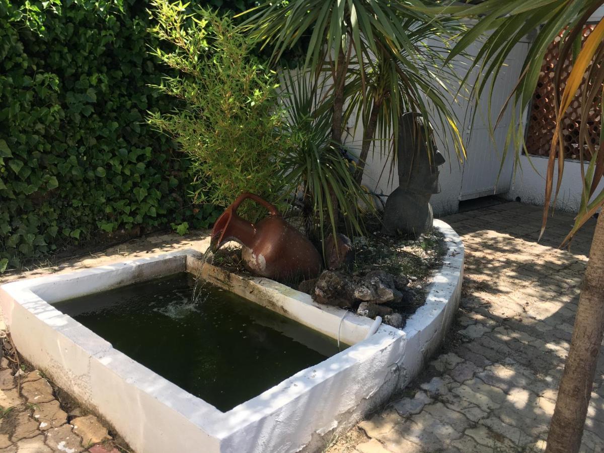 Studio Belle Vue, Jacuzzi, Piscine, Terrasse Avec Vue, Climatise Appartement Marseillan  Buitenkant foto